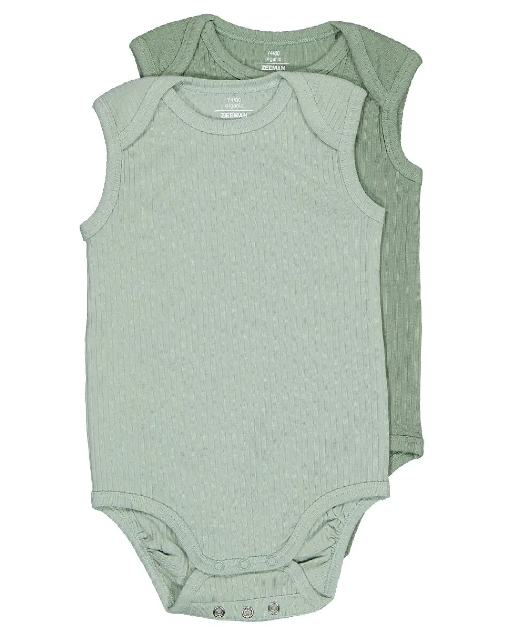 Hot Zeeman Body - Vert