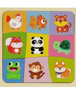 Zeeman Puzzle - Multicolore