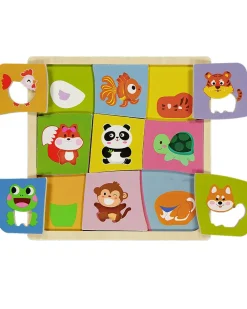 Zeeman Puzzle - Multicolore