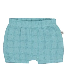 Hot Zeeman Short - Bleu