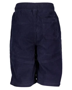 Best Zeeman Short - Bleu