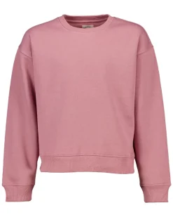 New Zeeman Sweat - Violet