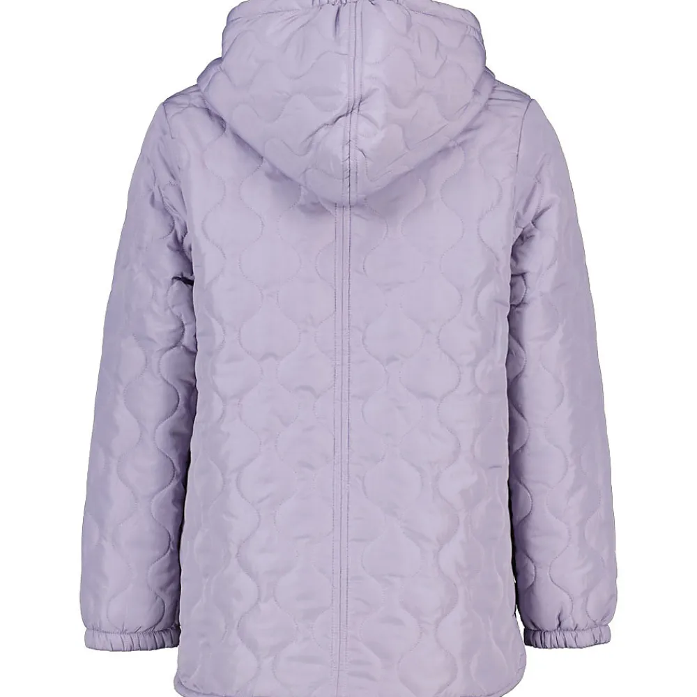 Hot Zeeman Veste/gilet - Violet